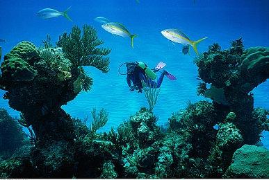 《勇者斗恶龙10》新更新内容公开 新地城装备登场